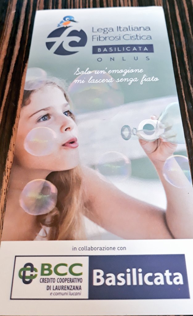 BccBasilicata's tweet photo. Oggi e domani @fibrosicistica nella filiale di Potenza, con il profumo del mirto e il colore della stella di Natale per sostenere una causa importante. #cisiamo https://t.co/XupByDIWzK