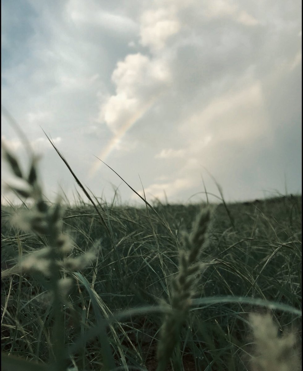 wearewunders's tweet photo. “It is not down in any map; true places never are.” – Herman Melville
#Wanderlust #explore #sunrise https://t.co/7w3r8tPiwI