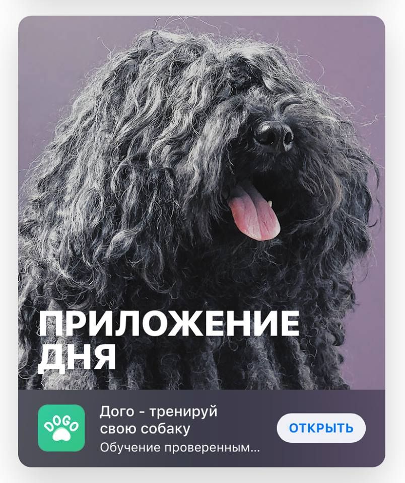 Dogo_App's tweet photo. App of the day in Russia! Happy to train dogs from Russia!
Спасибо большое 🇷🇺🐕🇷🇺 #appoftheday #приложениедня #dogoapp #dogtraining #тренировкасобак #russiandogs #собака#dogtraining #appfordogs https://t.co/X2WkHVAy0P