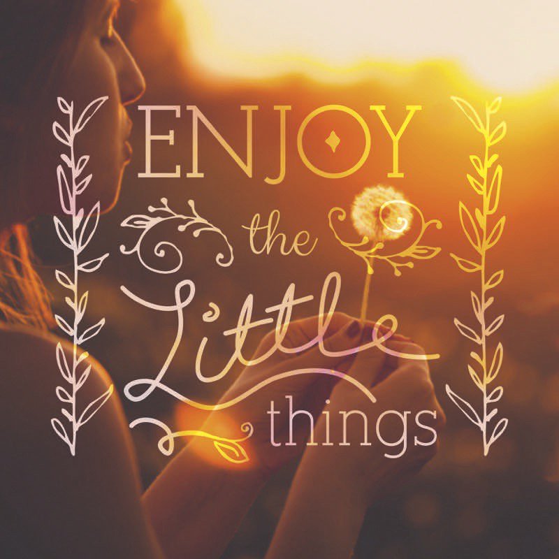 AlleviatePETHS's tweet photo. Have a stress free day! #MotivationMonday #MondayMotivation https://t.co/ji708iOy9b