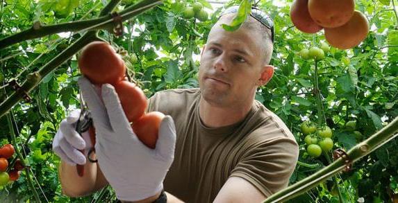 Agribusiness Workshop for the Military Community &amp; More conta.cc/2RulFA1