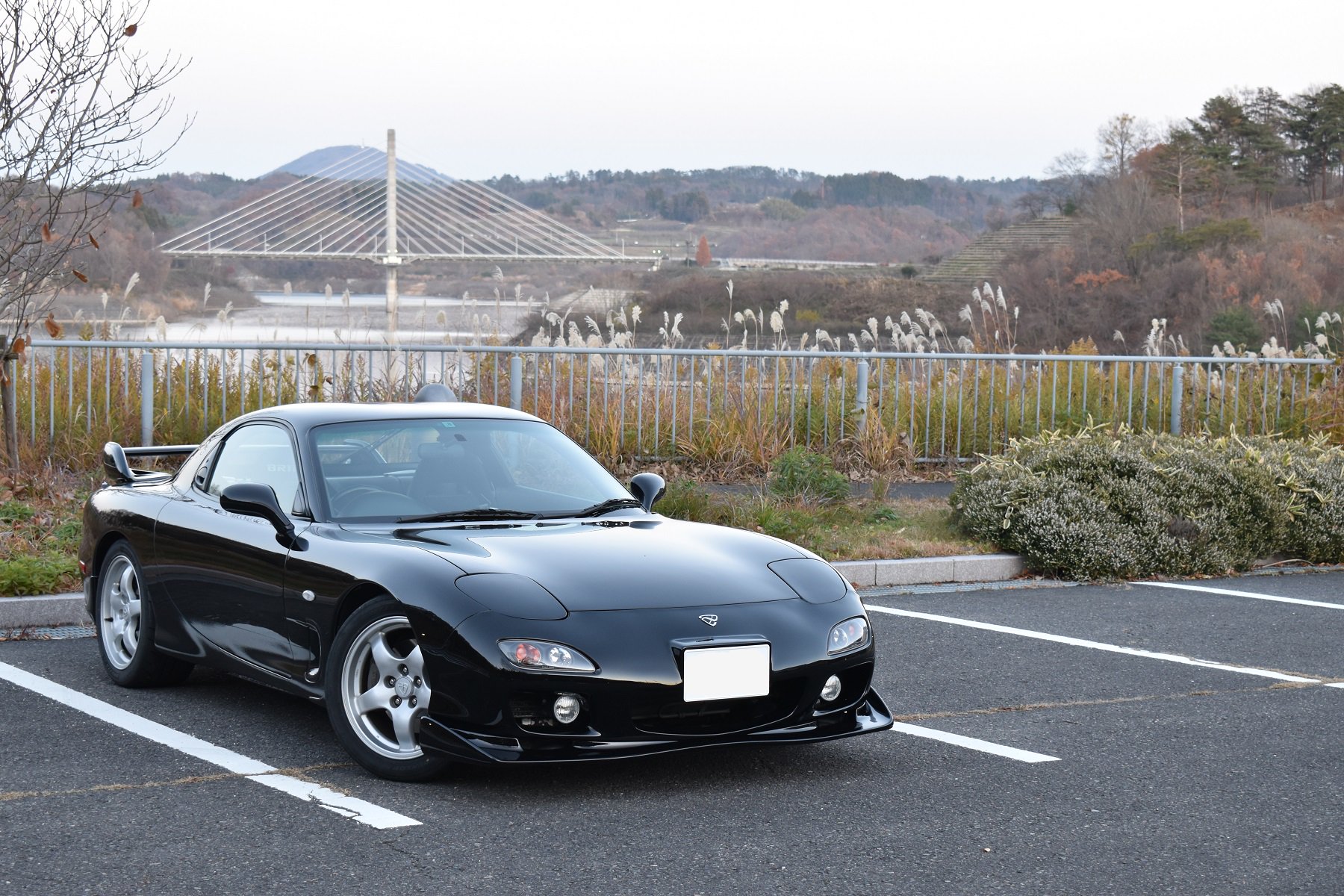 Hetarerx 7 Fdってファミリーカーなのに 何でこんなにカッコいいんだろう こんなに自然に溶け込むなんて やっぱりエコカーだからかな 経済的で耐久性もばっちりだし 燃費も良いし こんな最高の車は 他に無いよね 4人乗りでコンパクト 大衆車っ