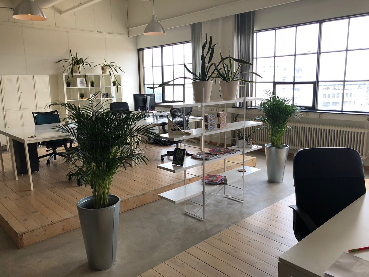 We hebben nog 2 werkplekken vrij voor (creatieve) zelfstandigen. Iets voor jou? creative-s.nl #tehuur #werkplek ⁦<a href="/StrijpS/">Strijp-S</a>⁩ #Eindhoven