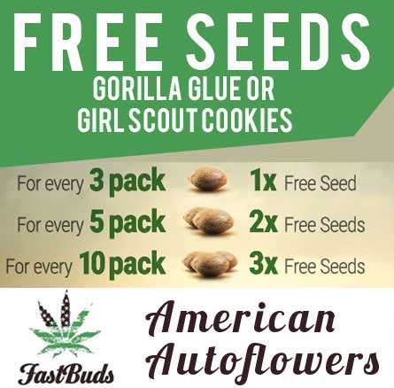 we just added 1 more great promo for December from Fast Buds #free #cannabisseeds #weed #marijuana
dope-seeds.com/blog/free-gift…