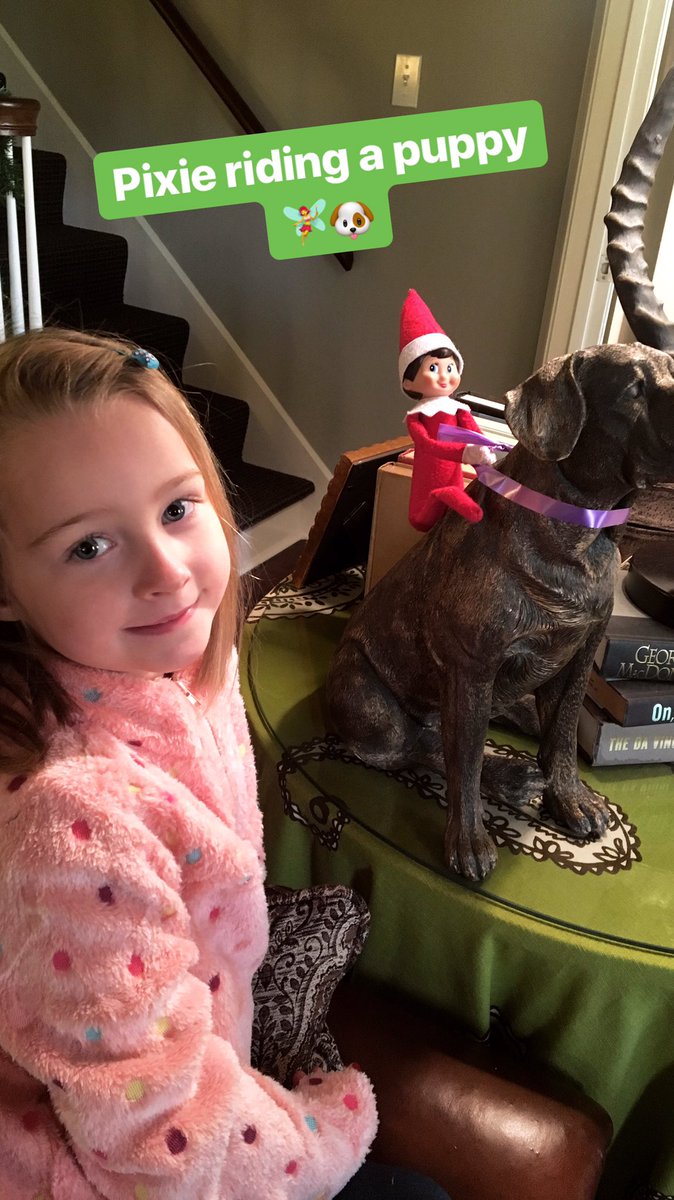 🧚‍♀️🐶
#holidaytraditions #adventuresofpixie #elfontheshelf2018