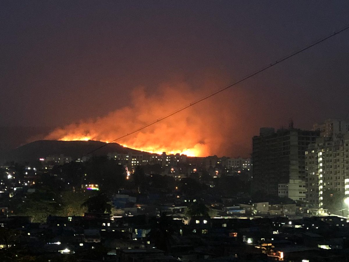 Andherinews's tweet photo. Heard massive FOREST fire in aarey. 
@Lokhandwala_Bom any truth 

 @saveaarey @ConserveAarey @rishi75 @GreenStalin @ChatterjeeBadri @singhvirat246 @zoru75 @Rajev_Paul @LocalPressCo @MaladInfo https://t.co/D387rJXblg