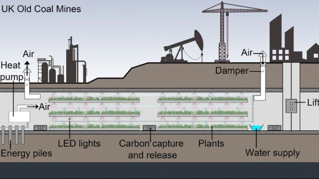 horseandhoof's tweet photo. Old coal mines can be 'perfect' underground food farms https://t.co/Gsgg4dTGD0 #horseandhoof https://t.co/JPoXk2LLni