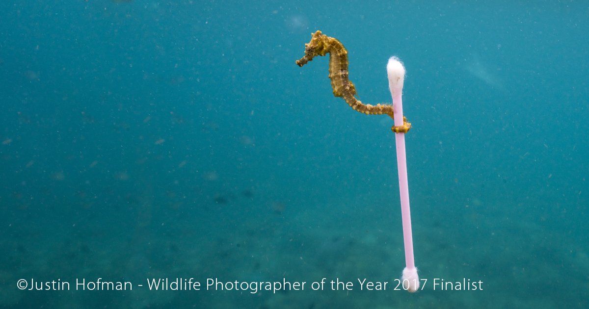 ATTENTION⚡️The government's consultation on banning the sale of plastic straws, plastic-stemmed cotton buds and plastic drink stirrers closes today  - make sure you tell them you're in favour of a ban: bit.ly/govplastic  #STOPthePlasticTide #pointlessplastic