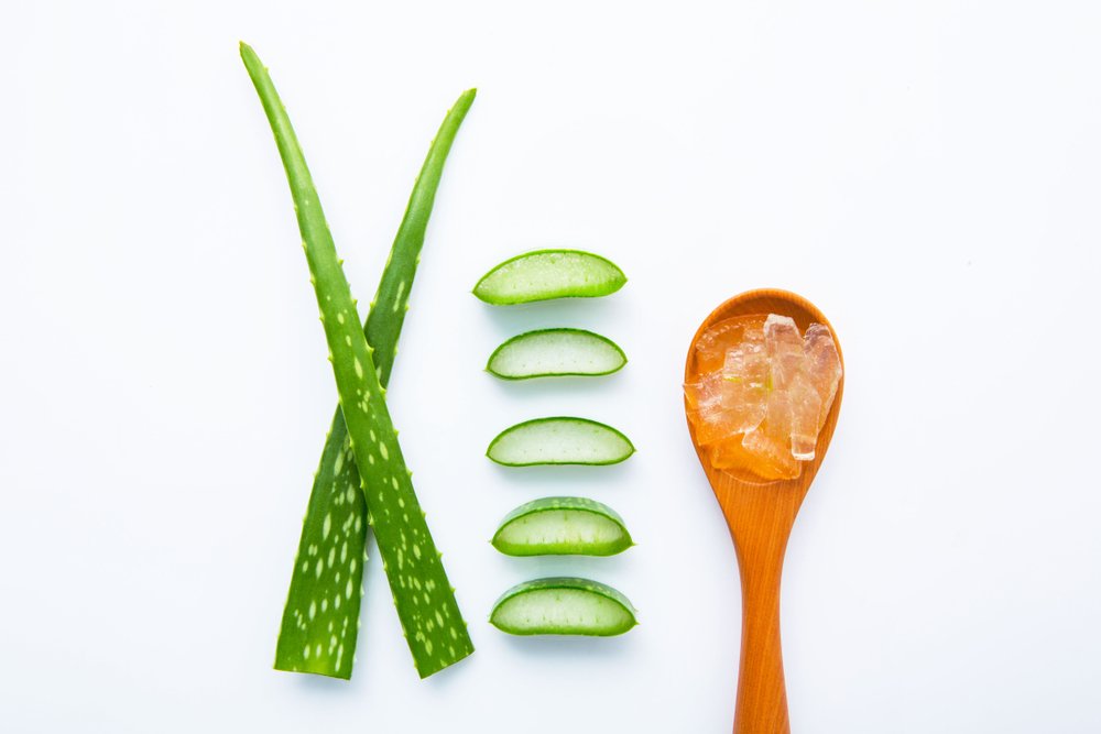 BenessenceUK's tweet photo. If you're an #aloevera addict (as we are!) you'll love this. We've put together a list of surprising health benefits and uses of 10 different species https://t.co/HInlVhiIx1 https://t.co/6j5Z0EjAJn