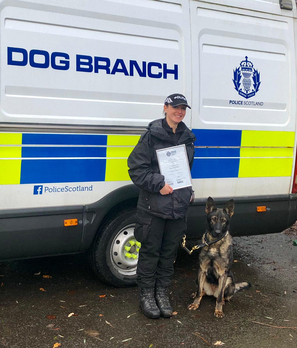 PSOSDogs's tweet image. #PDAva and her handler also passed their 13 week General Purpose course. They will be joining PD Ice in Aberdeen and the North. @AberdeenCPolice @AberdeenSPolice Congratulations to the girls 🐾🐶