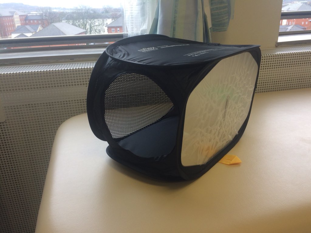 StrokeGRH's tweet photo. Our next delivery of equipment bought with donations arrived!! Mirror boxes for the upper limb x10! @gloshospitals @Gloshosptherapy #teamstroke #strokerehab #mirrorboxtherapy https://t.co/4mUeNKjIKI