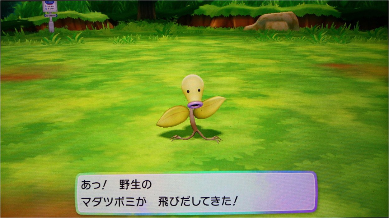 古玉 こだま 連鎖なしに出てきたマダツボミです 今はもう ウツボットに進化させちゃっていますが プレボで無事ゲットできました 次は あの乗り物系ポケモン 連鎖ガンバってみようかなー 古玉の 色違い 色違いポケモン ピカブイ T Co
