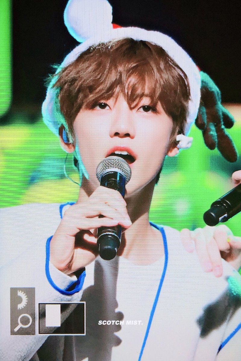스코치미스트🌫 tweet media