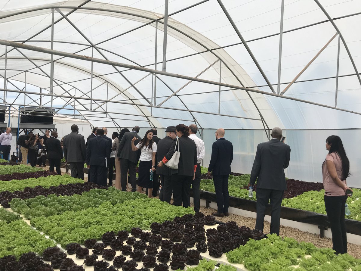 Thrilled to launch a new aquaponics facility which was sponsored by <a href="/Nedbank/">Nedbank</a> and <a href="/AFGRI1/">AFGRI</a>. Seen here at the ribbon cutting ceremony at the Tembisa Hub is World Bank President @JimYongKim together with Minister of Tourism <a href="/Derek_Hanekom/">Derek Hanekom</a> and Khensani Nobanda of Nedbank.
<a href="/MagaridaM/">Margie Whitehouse</a>
