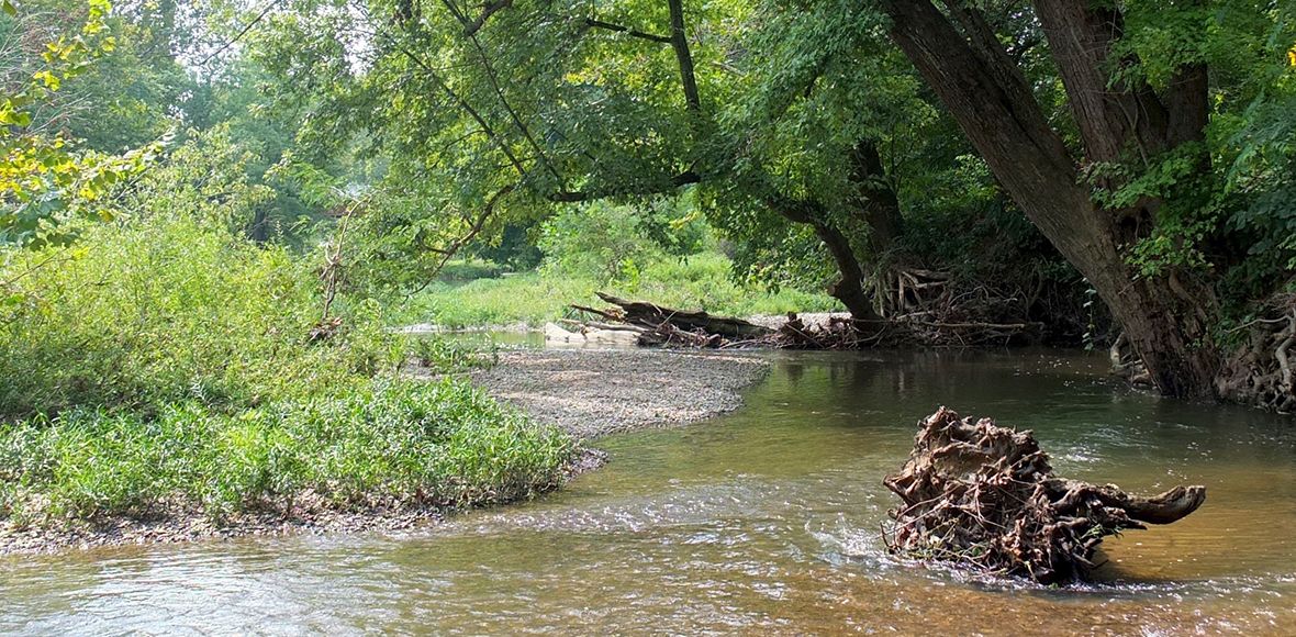MaliAndersonNow's tweet photo. Submitted an article this morning on the importance of conserving rivers. Reminded me of this post I wrote for #GoodMatters. Get involved! How to Join or Host a River Cleanup - https://t.co/wdUMTJNcg8 #volunteer #livewell https://t.co/pfOd4Kbf68