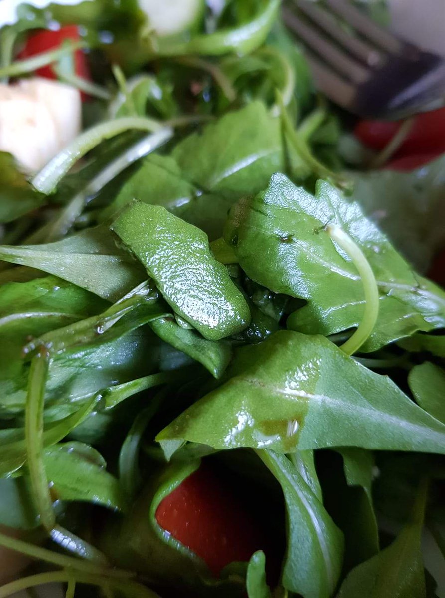 KetogenicWOL's tweet photo. #Keto #salad #arugula #rocket #ketodiet #LCHF #Tomato #cucumber #cheese #oliveoil #balsamic #lunch #Lunchtime #weightloss #MondayMotivation https://t.co/Y1QM9oN8ZX