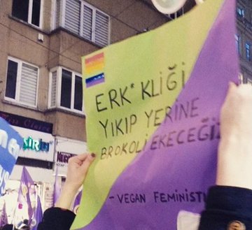 Kendisine "feminist Müslüman" diyen kadınlar erkek çocuklarına rol model olarak baba figürünün yerine brokoli mi koyuyor?

Yoksa homoseksüellikle de çoktan barıştılar mı?