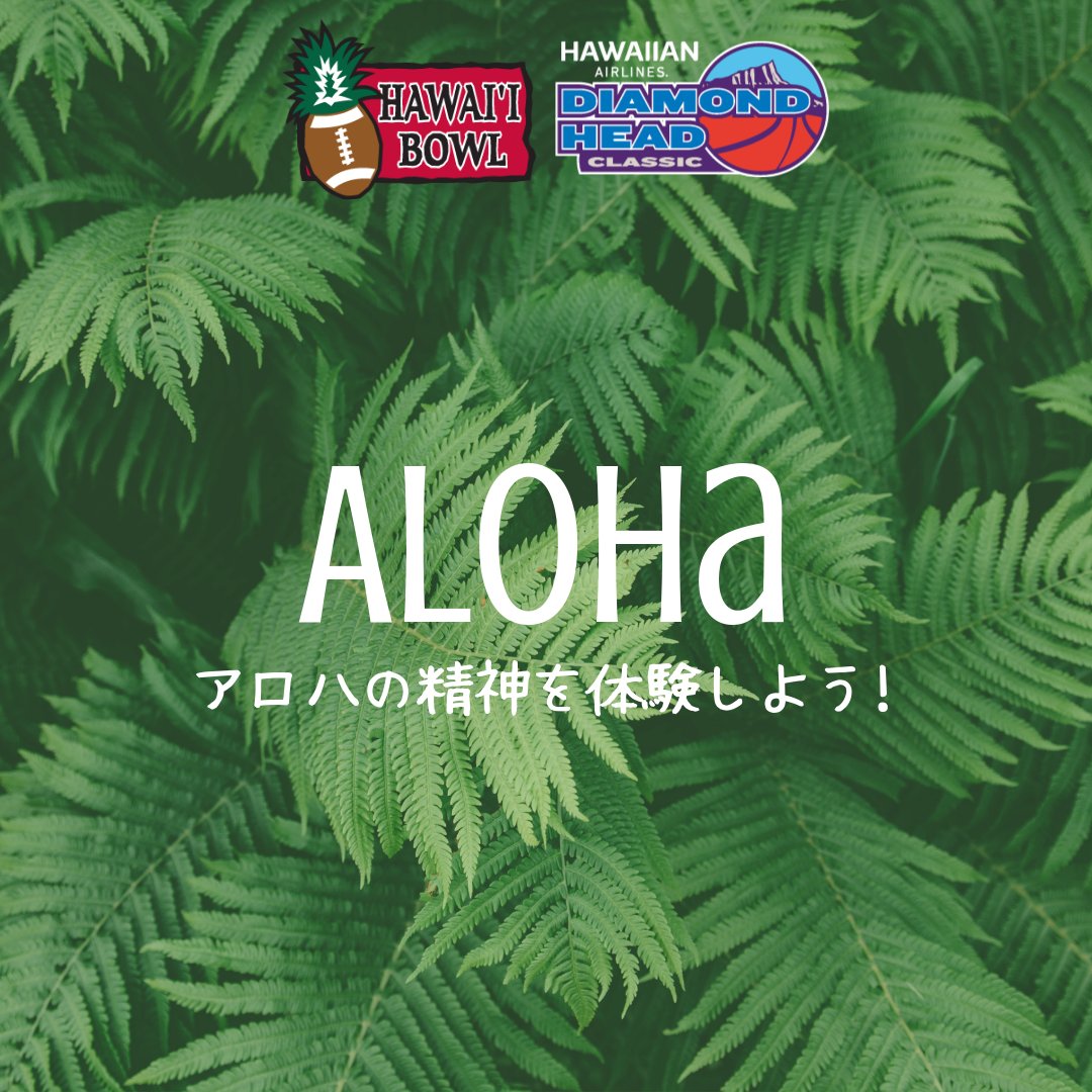 HawaiiBowl's tweet photo. アロハの精神を体験するために12月22、23、25日ハワイボールとハワイアン航空のダイアモンドヘッドクラシックに行こう！  
#allhawaiijp #ハワイ #ハワイ旅行 #ワイキキ #オアフ島 #アロハ #ハワイ生活 #ハワイ好きな人と繋がりたい #ファイワンダー越しの私の世界 https://t.co/XII0QbUnli