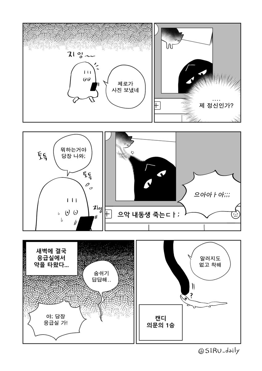 고양이 알레르기? 