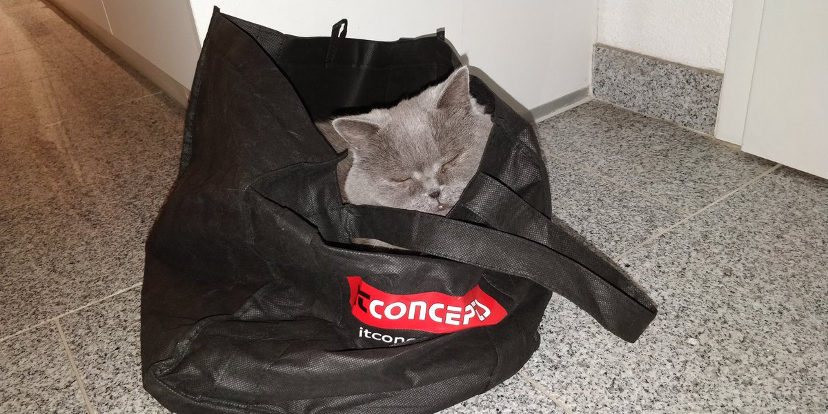 Monika_Knaus's tweet image. Meiner #Katze gefällt #ITConcepts auch 😂 #Schleichwerbung #LoveMyJob