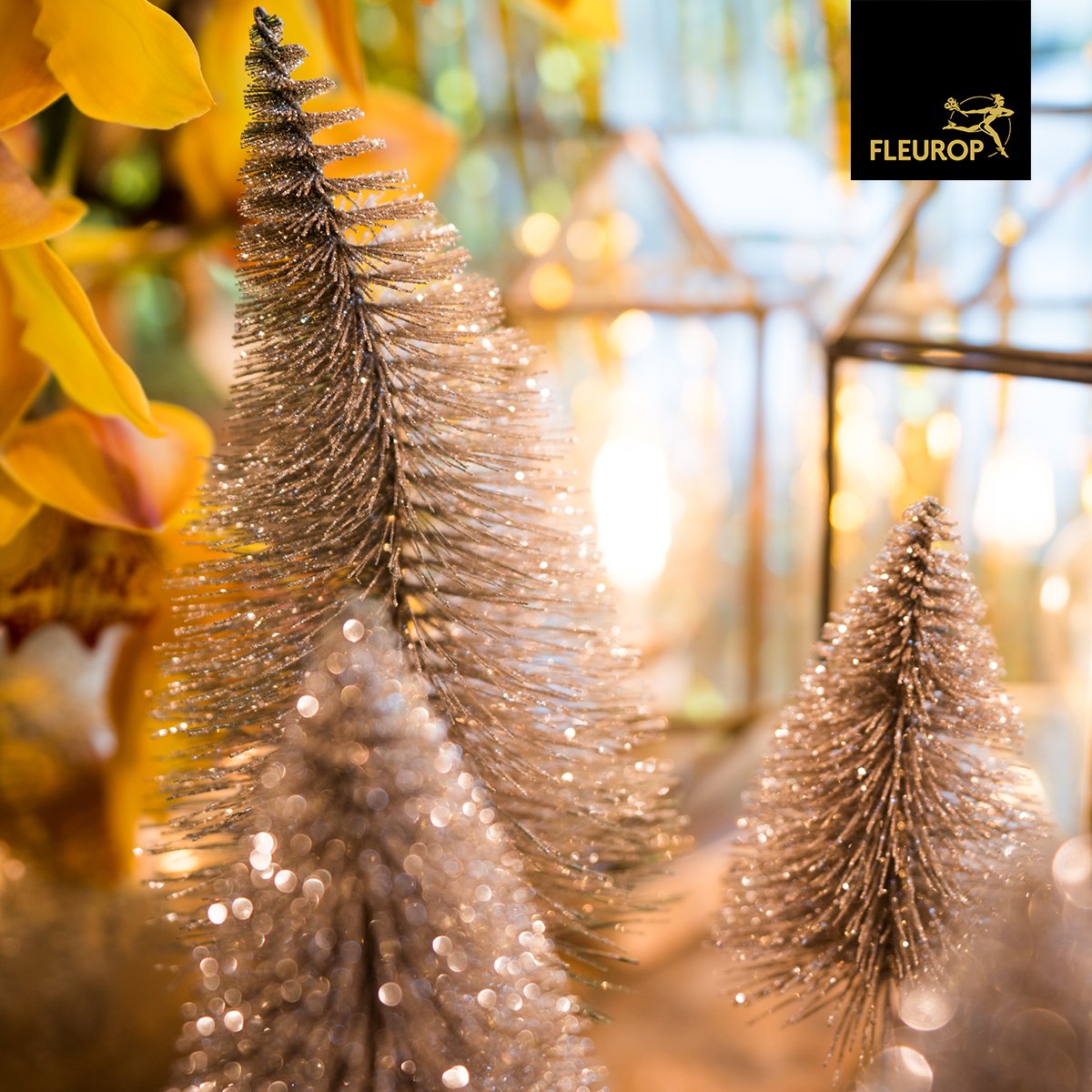 Advent 2018 - die schönsten Trends: bit.ly/2RqRARW