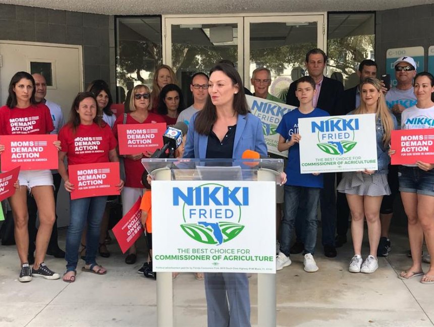 Newly-elected Ag Commissioner Nikki Fried promises audit of gun program. 