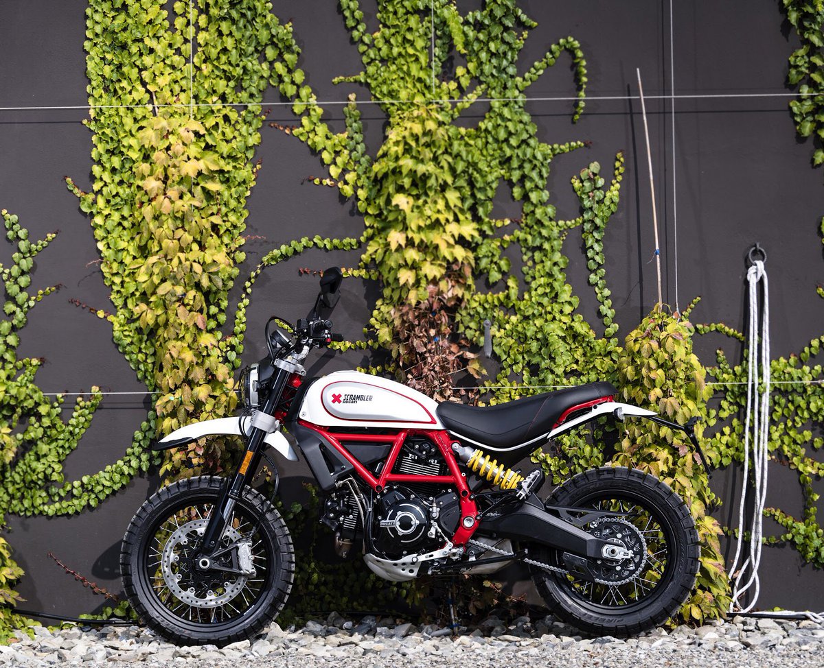 The new #DesertSled ‘White Mirage’, with red frame and black spoked wheels. The colors of our Monday. ✌️ #HappyMonday #ScramblerDucati #DucatiScrambler #Ducati
Discover more 👉 desertsled.scramblerducati.com/en ❌