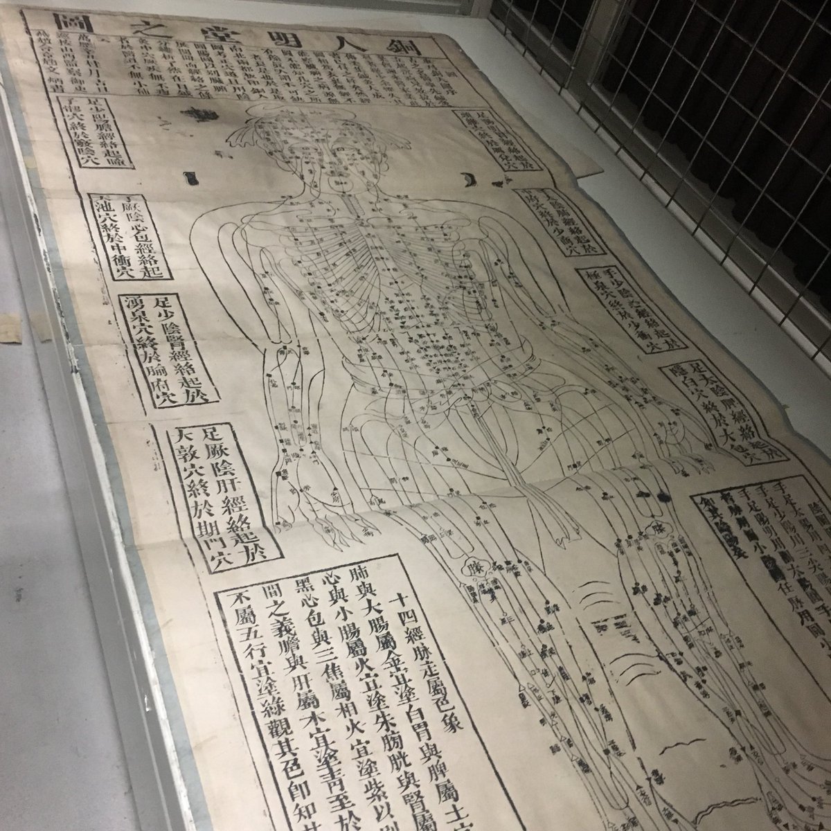 enhanced_humans's tweet photo. Digging through the archives at Manchester central library! Get a chance to look at this amazing anatomical diagram of Chinese acupuncture treatments at our research table! #enhancedhumansmcr https://t.co/Xu1NYHWU7S