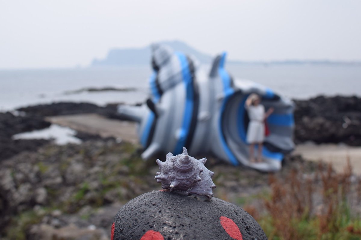 tra_pulpitos's tweet image. 기우뚱 나와 곱디고운 너. 한참 전 여름. 제주.