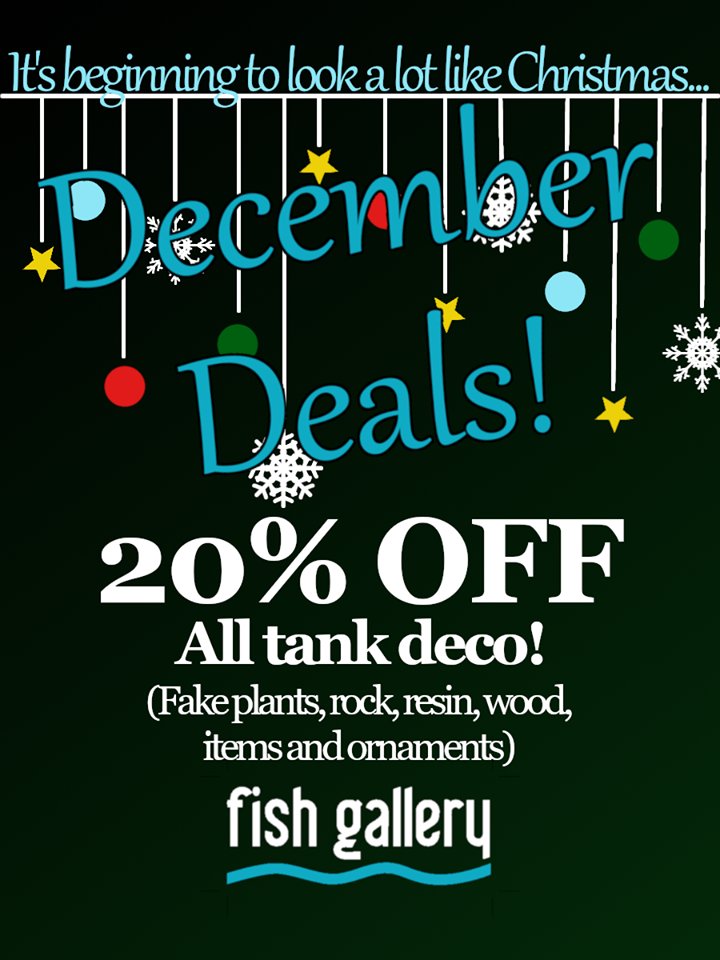FGFlow's tweet image. The December Sale is Here!!!