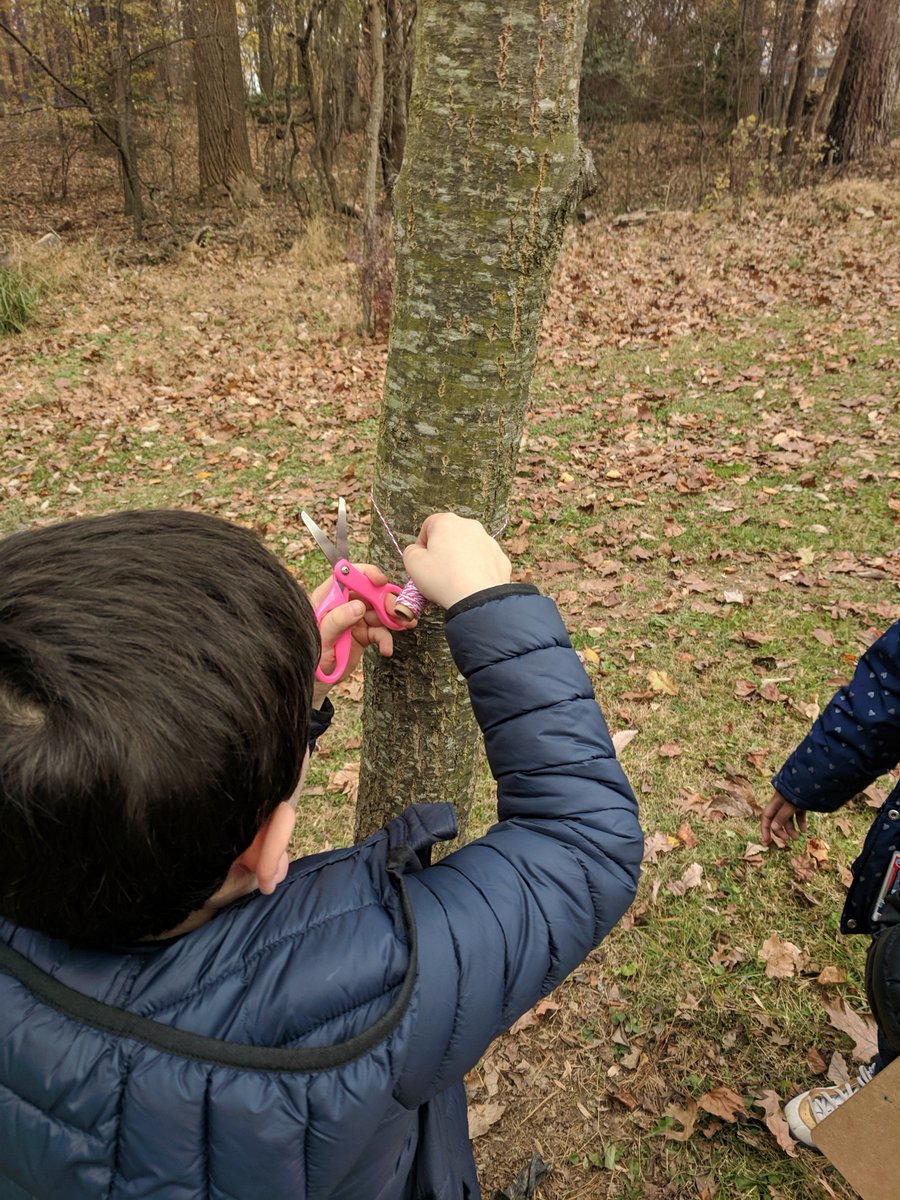 Lindsay O'Donnell tweet media