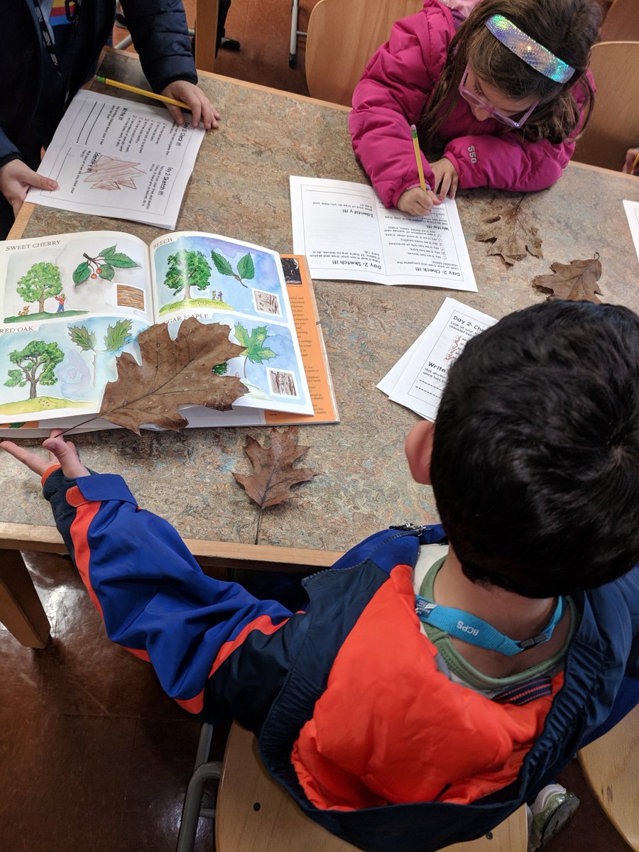 Lindsay O'Donnell tweet media