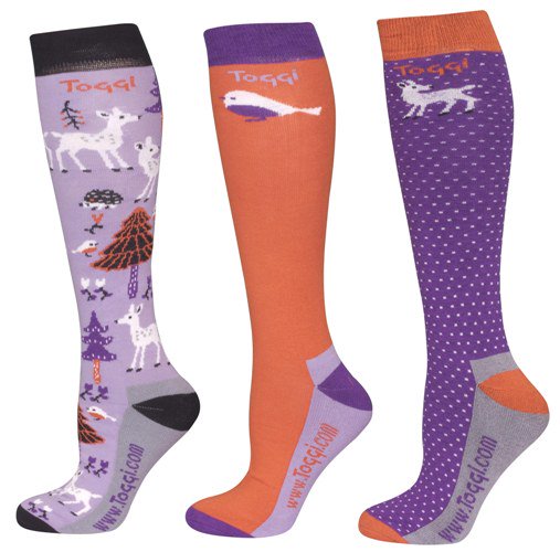 Hucklesby Associates tweet media