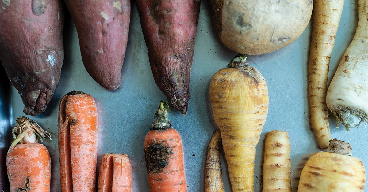 USFoods's tweet photo. Holiday #RestaurantTip ➡️ Reducing #foodwaste can increase your bottom line. See how the pros make the most of every ingredient: https://t.co/fSRSVu8RCK https://t.co/fpFRBq8jRi