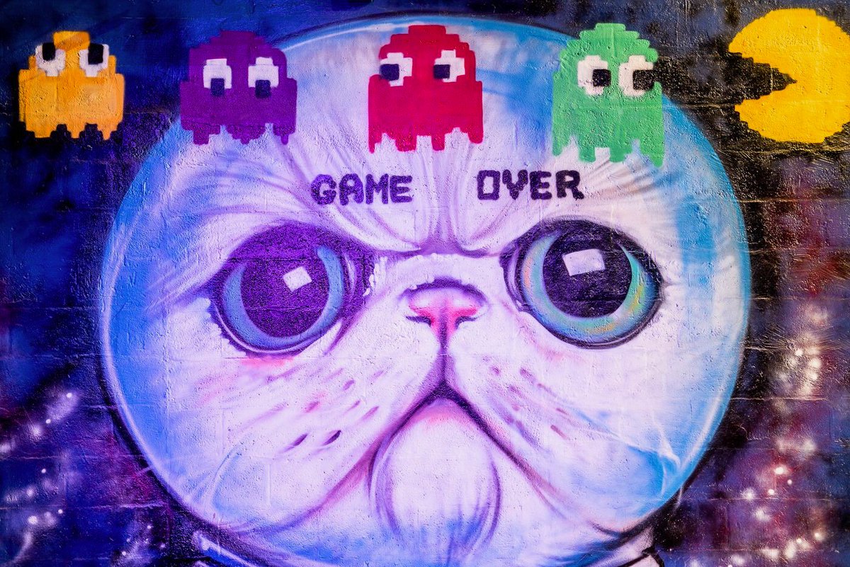 Miami, it’s officially Art Week! 🎨 We love our home in the Wynwood Art District. While you’re in the neighborhood, check out our indoor / outdoor murals and kick off your pre-event fun with arcade, bungee dome and laser tag! #FunDimension #ArtWeekMiami