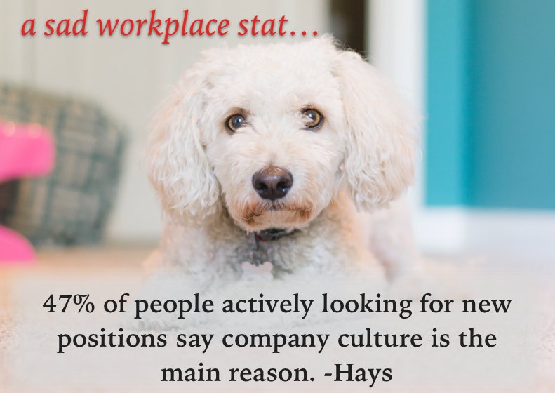 TheDawfin's tweet photo. Let's work together to un-suck work! 
#hr #EmployeeEngagement #lovework https://t.co/YnmUVsNIbh