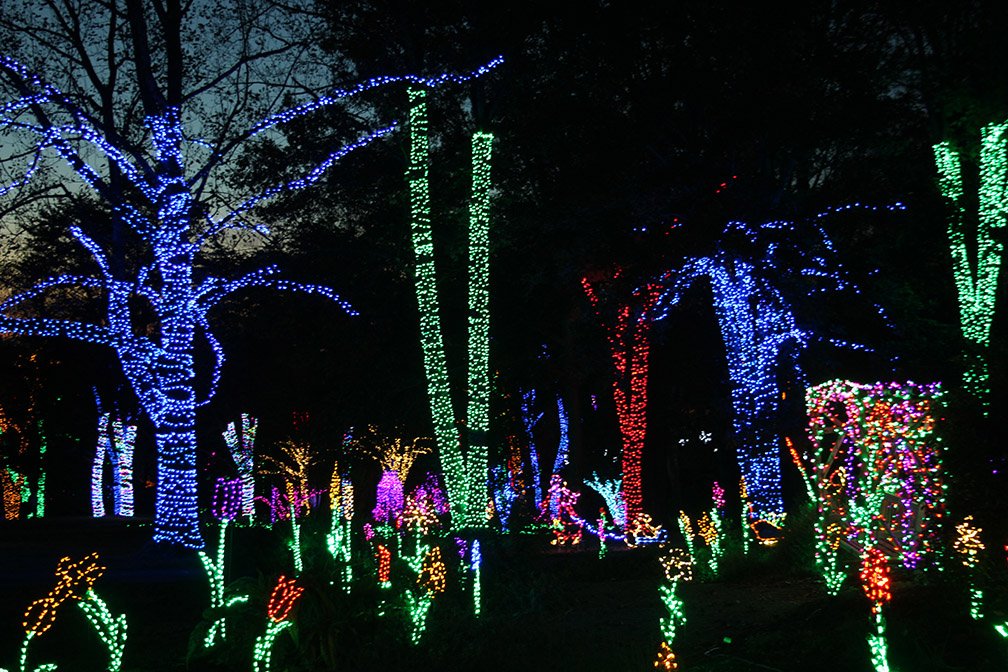 Meadowlark Botanical On Twitter The Weather Is Going To Be Gorgeous For Tonight S Winter Walk Of Lights Kick Off Your Week With A Magical Holiday Experience Tickets Https T Co Hrve1iosm6 Happinesshere Inquirewithin Discoverwhatsnext