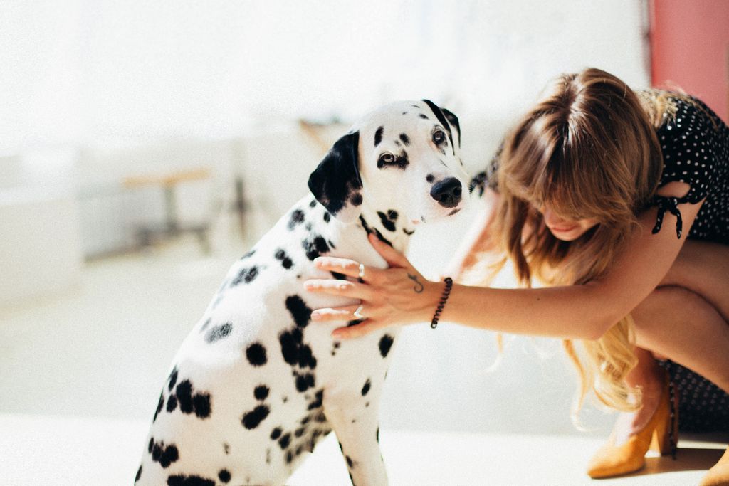 Activ4Pets's tweet photo. Unconditional love deserves unconditional care π
.
.
.
#dogsofinstagram #unconditionallove #activ4pets #pethealth #doglovers https://t.co/I4m6L06cUs