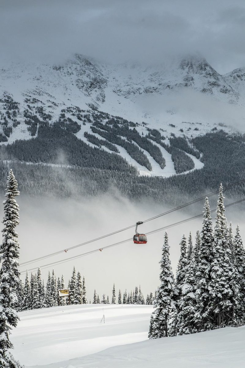 whistlerpride tweet media