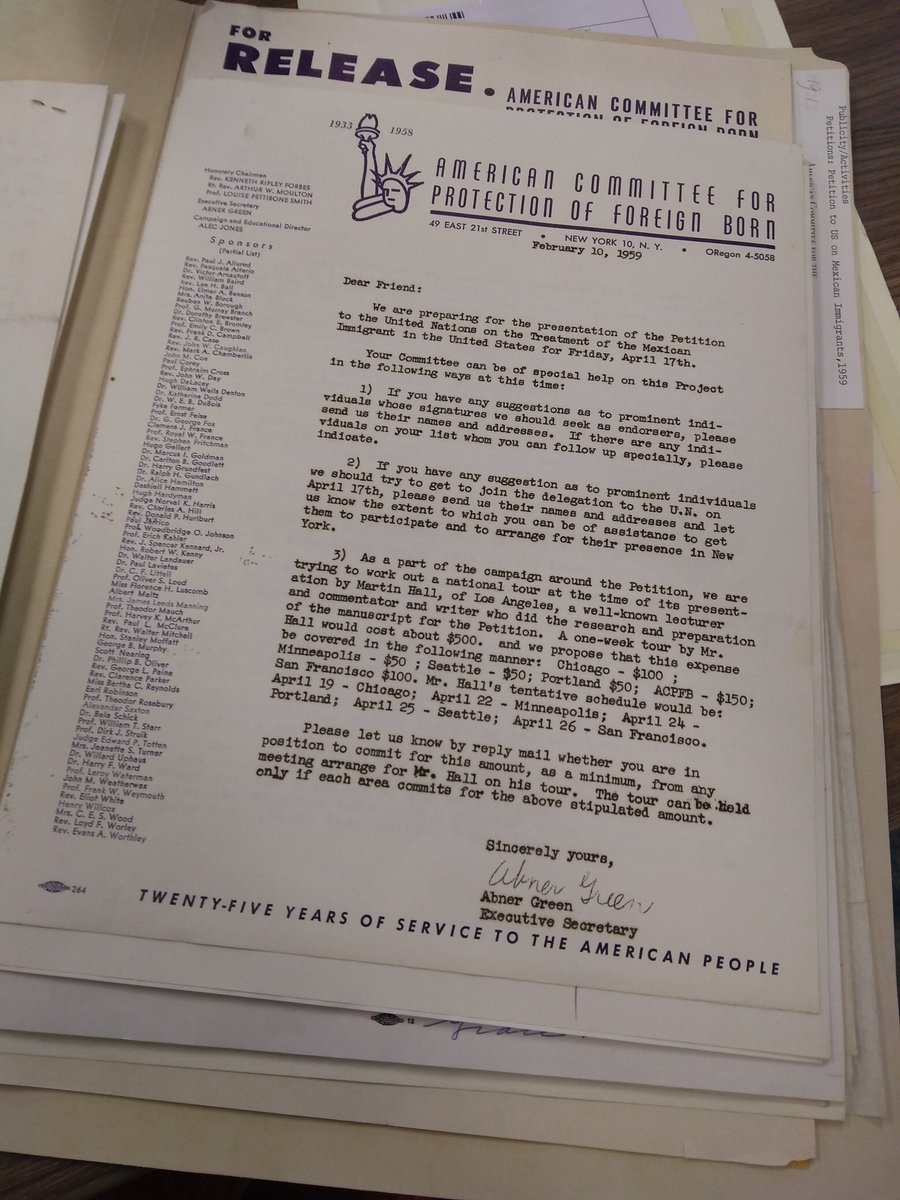 becoming a mentor leader in a professional