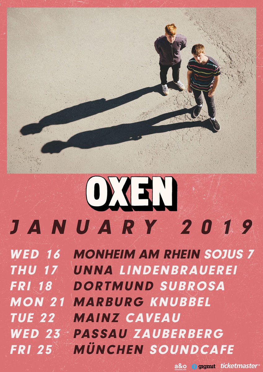 Oxen Germany So Happy To See You Again In January