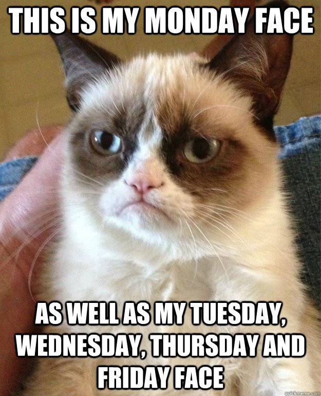 cheers_bingo's tweet photo. #MondayVibes https://t.co/DbXA55EKvT