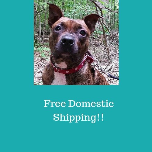 FurBabyCollars's tweet photo. Shop my sale: Free domestic shipping. https://t.co/ZjZj7xlCvF #etsy #furbabycollarsetc #etsyfinds #etsygifts #etsysale #etsycoupon #shopsmall #freeshipping #handmade #doglover #dogcollar #etsybuzz https://t.co/AYCoH0Yaw6