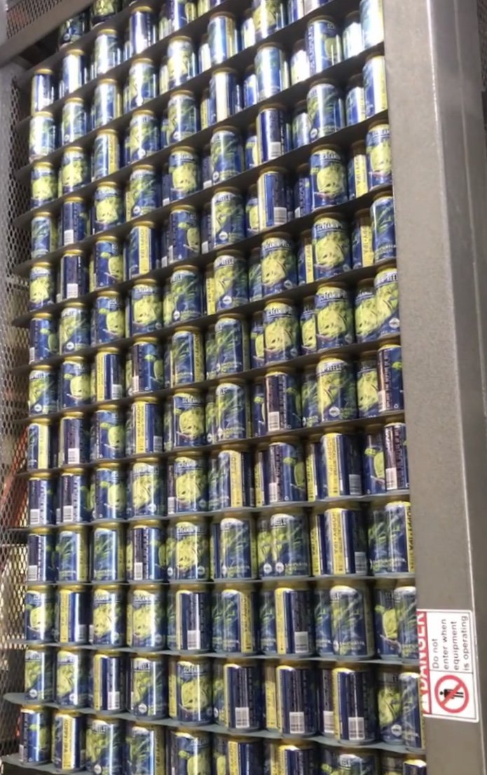 SaltWaterBrewer's tweet image. Celebrating a milestone back here today as we are currently brewing our 500th batch of #ScreaminReels IPA! #milestone #whowantssome #saltwaterbrewery #ipa #brewhouse