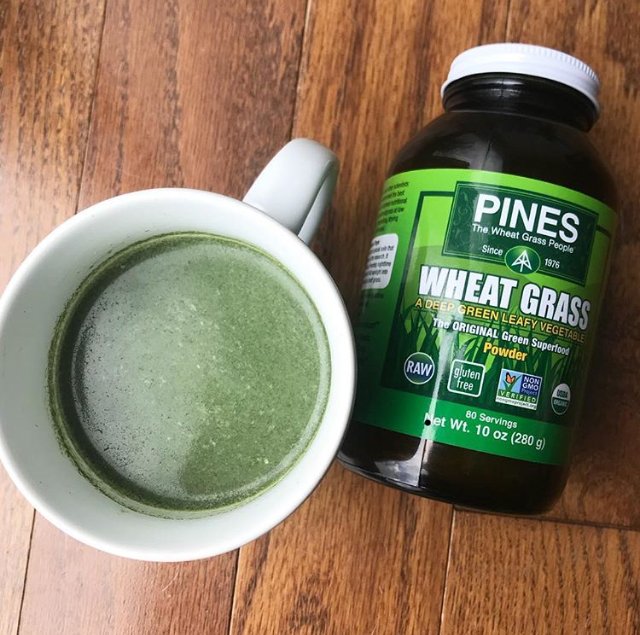 PinesWheatGrass photo