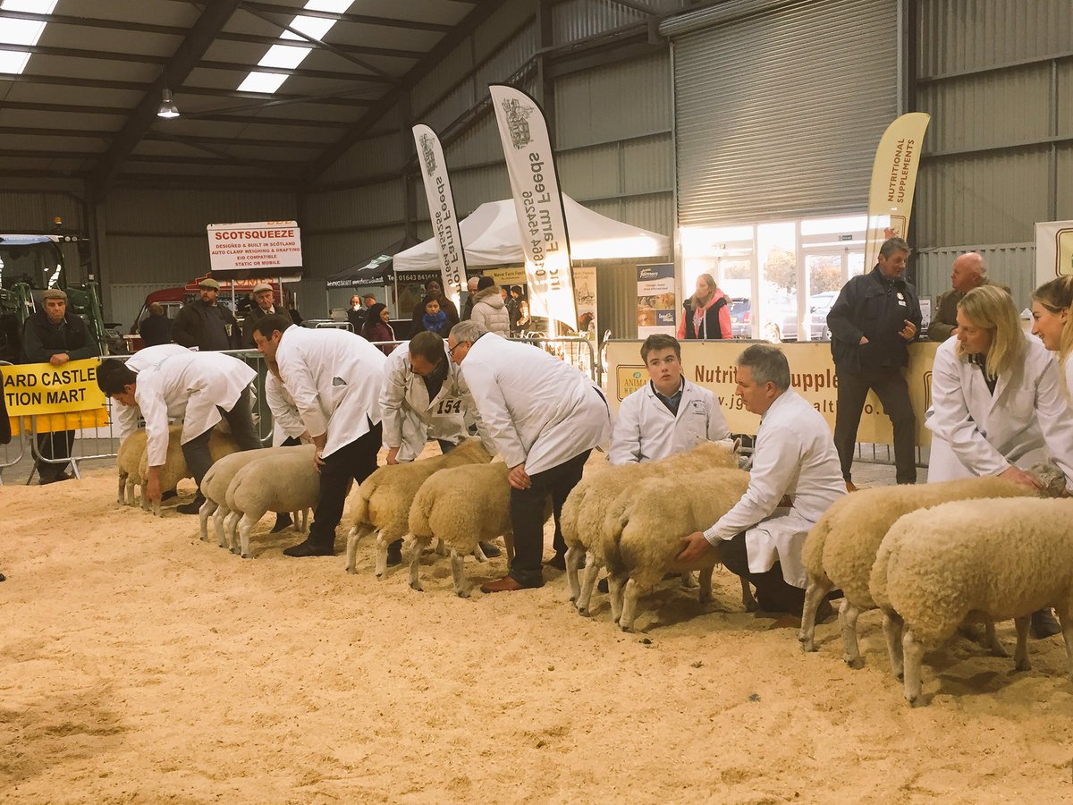 KendallsPR's tweet photo. Great to be at the @winterstockfest at @EofEarena last week. A superb entry of cattle, sheep and pigs and great to see such strong entries in the Young Stock Person of the Year! 🐮🐑🐷🏆 

#livestock #agriculture #AgriculturalPR #KendallsPR #winterstockfestival2018 #primestock https://t.co/xzRpjGzDj3
