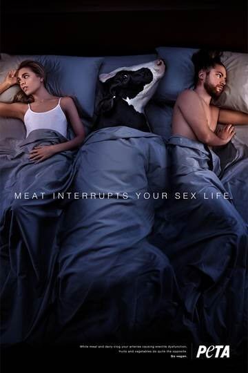 JimmysSeafood's tweet photo. Wow - @peta’s out here promoting beastiality! https://t.co/ISXQNCZlq7