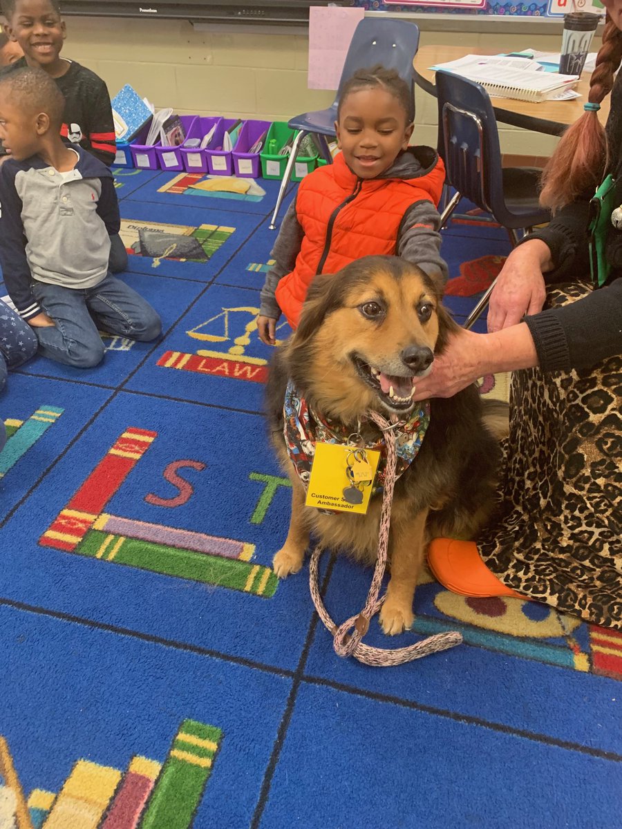 dcgbralls's tweet photo. We kicked off our One School One Book program today with some visits from our furry friends. #machennation https://t.co/ckrzW8GGdC