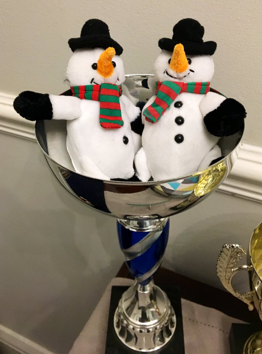 DCPSBoarding's tweet photo. Itโs beginning to feel a lot like Christmas. Matron has been very excited! ๐ถ๐๐
#finallyDecember #sparkling https://t.co/5kHkwsDGbF