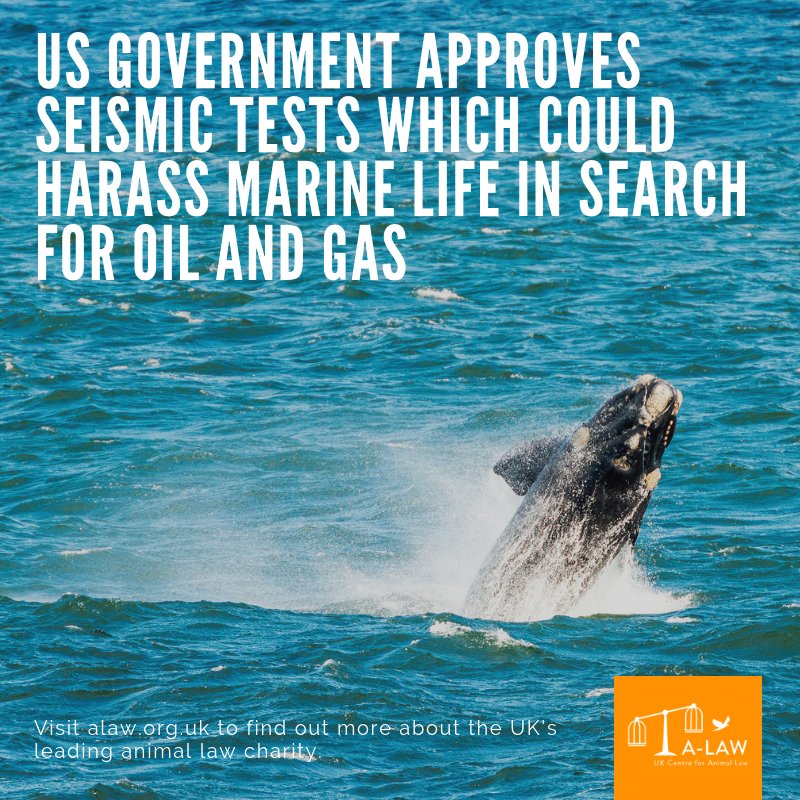 Uk Centre For Animal Law A Law On Twitter National - 